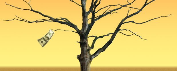 App Funding Money Tree