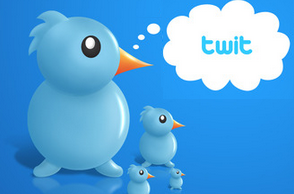 social media marketing twit