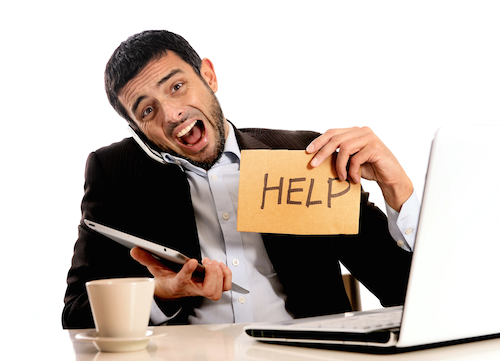 Employee Help, Website Design, Kaphi