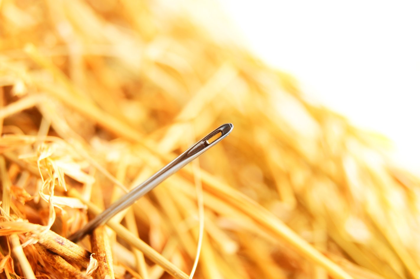 content seo needle haystack marketing