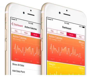 Screen_Shot_2015-08-20_at_11.33.07_AM